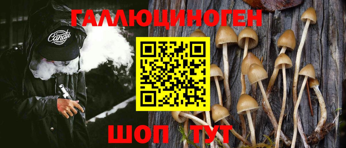 Галлюциногенные грибы Psilocybe Нижневартовск